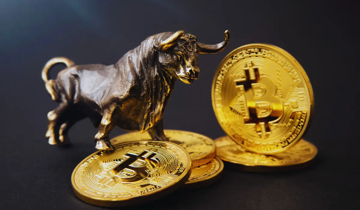 Crypto Bull Run